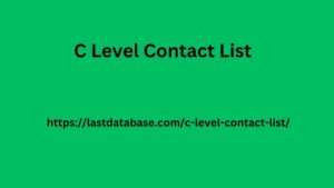 C Level Contact List